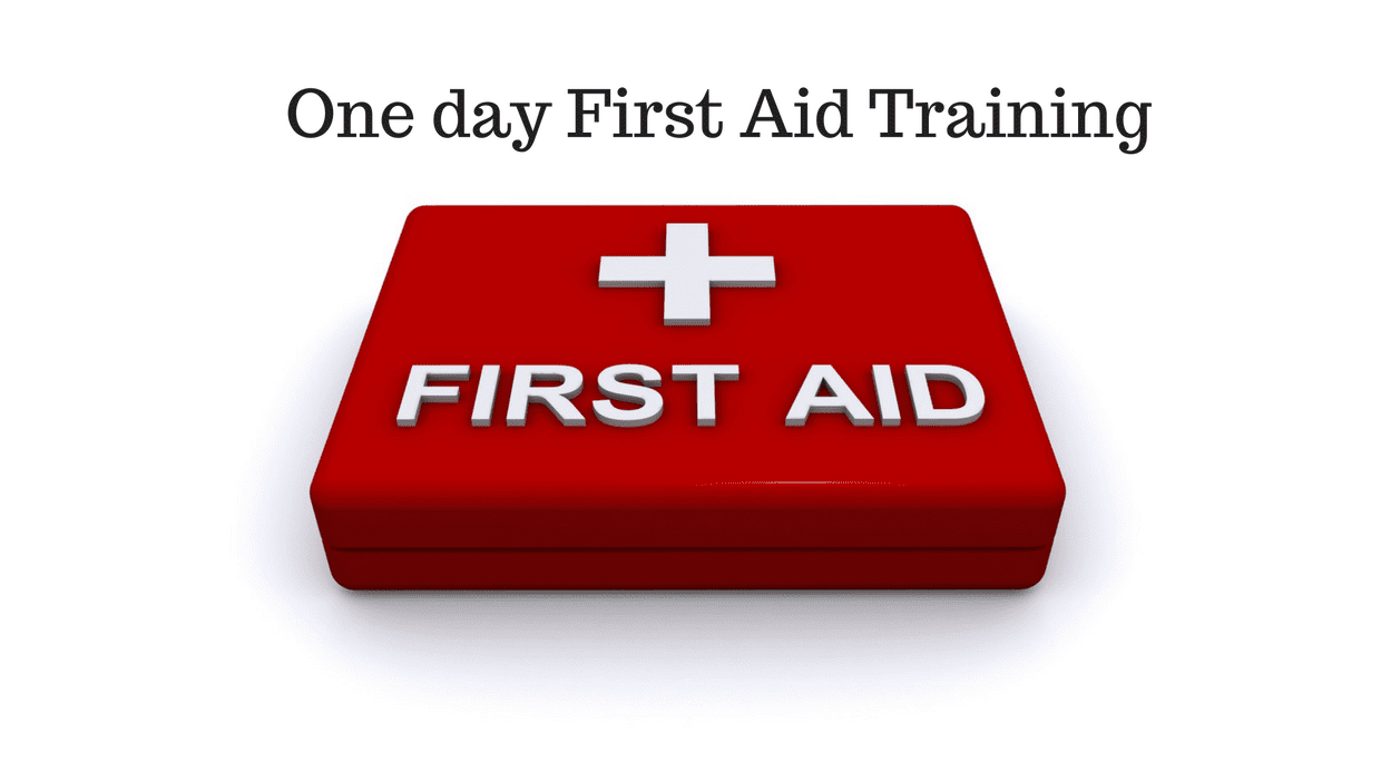 One Day First Aid Training